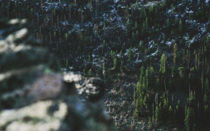 How to Set Rate Thresholds That Actually Work